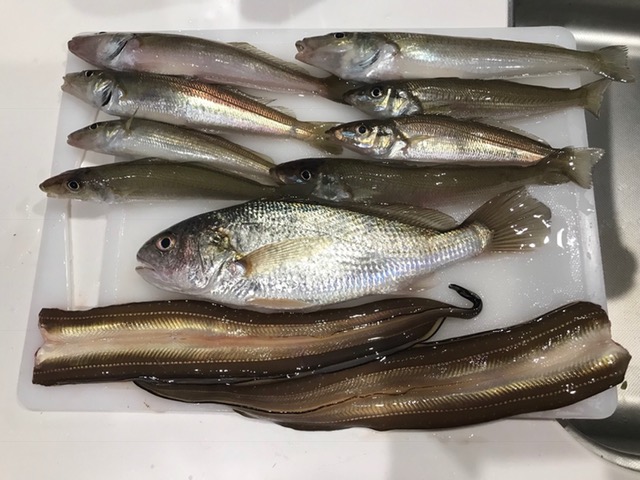 管理数 200部屋突破しました!!